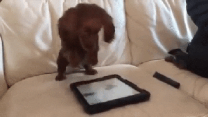 Pronóstico: así asoma el viernes en la región