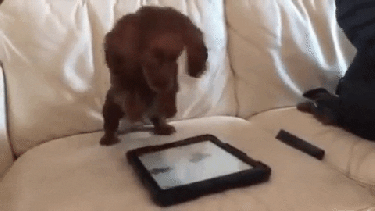 Que la ansiedad no te gane en la actualización de la página para saber cómo estará el tiempo.- 