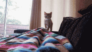 Pronóstico: así llega el jueves a la región