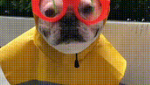 Pronóstico: enterate si este lunes siguen los chaparrones en la región