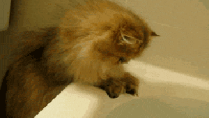 Pronóstico: se viene otro día caluroso y con viento a la región