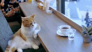 Pronóstico: se viene un martes nublado y fresco en la región