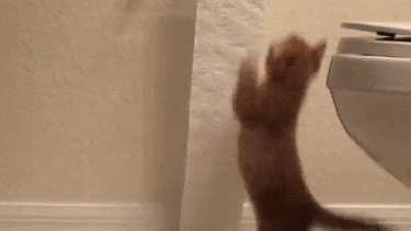 Ya estamos aburridos del fresco y no sabemos qué hacer.-