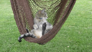 Pronóstico: se viene un martes de sol a la región