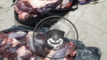Dos hombres fueron demorados luego de que se decomisara la carne de ciervo que estaban trasladando. (Gentileza).-