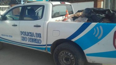 Foto ilustrativa.-