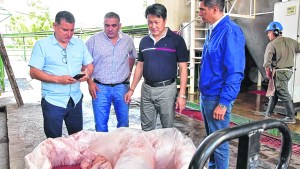 Apuntan a venderle carne a los chinos desde Beltrán