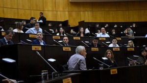 El MPN y Todos se repartieron el poder en las comisiones legislativas