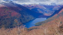 Imagen de Bosque nativo en Neuquén: una reforma polémica y el error de la forma