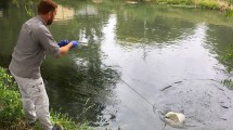 Imagen de Controlan la calidad el arroyo Durán