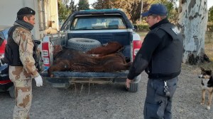 El cuatrerismo de ganado dejó a siete personas tras las rejas en Viedma y Río Colorado