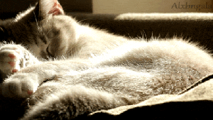 Pronóstico: bajan las máximas y se viene un jueves fresco en la región