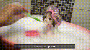 Pronóstico: martes de nubosidad y máximas cálidas en la región