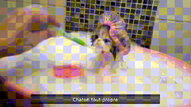 Siempre es bueno darse un baño antes de salir de casa.-