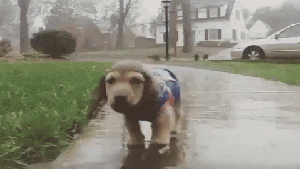 Pronóstico: ¿Llegan las lluvias a la región?