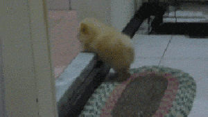 Pronóstico: enterate cómo llega el ante último lunes del año