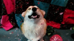 Pronóstico: así va a estar el último día del año