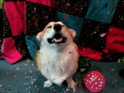 ¡Feliz noche vieja!