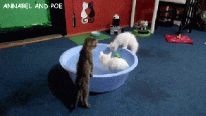 Pronóstico: se viene un jueves soleado en la región