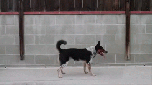 Pronóstico: el viernes llega con máximas para sorprender a la región