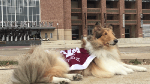 Pronóstico: se viene un miércoles nuboso y con viento en la región