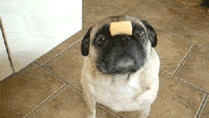 Pronóstico: así estará este viernes en la región