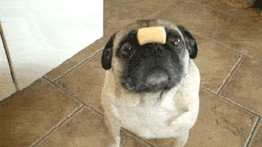 ¿Desayunaste hoy?.-