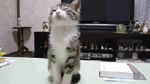 Pronóstico: el miércoles anticipa nubosidad y calor en la región