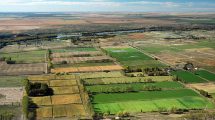 Imagen de Investigan la muerte de un trabajador del Idevi en Viedma