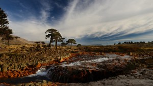 Copahue-Caviahue: un lugar mágico entre araucarias, ríos y cascadas