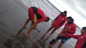 Guardavidas sacaron trasmallos de la playa de El Cóndor