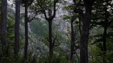 Para salir a la montaña hay un registro de trekking obligatorio en Bariloche.
