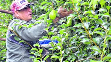 El movimiento empezó el viernes y ayer tomó ritmo intenso. Foto: Néstor Salas.-