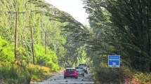Imagen de Un viento feroz causó trastornos en toda la región