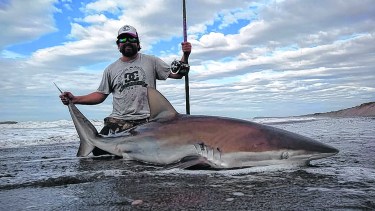 23 diciembre del 2019. La Ensenada, Camino de la Costa, Río Negro, Esteban Giussi con una bacota hembra que devolvió con la marca MACN 801. Medía 2,51 centímetros de largo. Fotos: Gentileza Esteban Giussi  