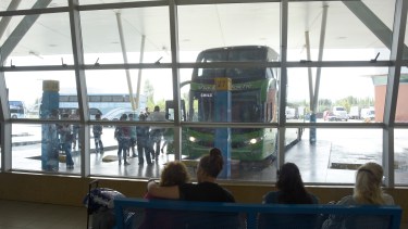 Desde la comisión que regula el transporte de pasajeros en Argentina esperan un repunte de la actividad.