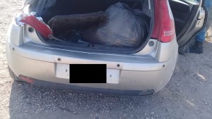 Una bebé de 9 meses murió en un vuelco cerca de Picún Leufú