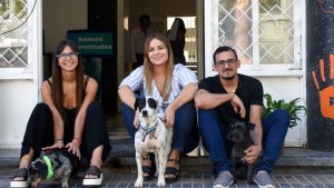 Un ministerio de Neuquén abrió sus puertas a los perros y dio grandes resultados