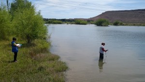 Es un misterio quién tiró hidrocarburos al Sañicó