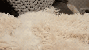 Pronóstico: ¿Siguen las tormentas este martes en la región?