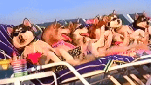 Pronóstico: se mantienen las altas temperaturas en la región