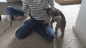 Pronóstico: martes de viento  en la región