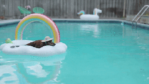 Pronóstico: enterate cómo llega este jueves a la región