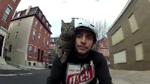 Pronóstico: así termina la semana en la región