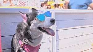 Pronóstico: así arranca la última semana de enero en la región