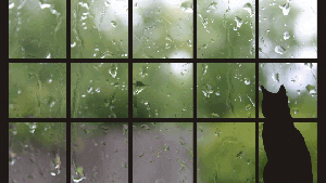 Pronóstico: ¿Se viene un martes con tormentas a la región?