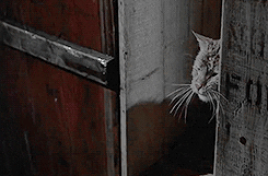 Pronóstico: La semana inicia con tormentas en la región