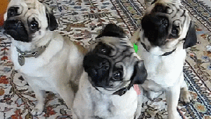 Pronóstico: jueves soleado y más fresco en la región