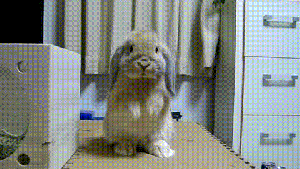 Pronóstico: lunes soleado y de máximas cálidas en la región