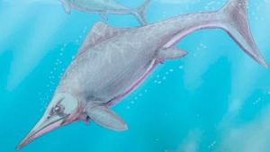 Científicos del Conicet hallaron un reptil marino de 150 millones de años cerca de Zapala